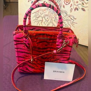 Brahmin Pink Feline Ombre Melbourne